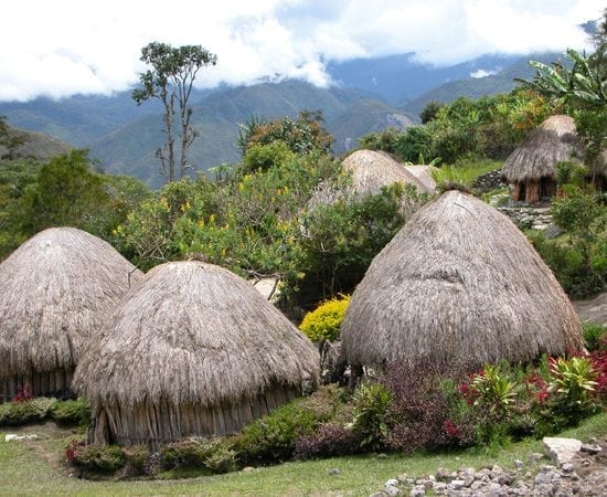 Dani Tribe House at Baliem Valley Tour