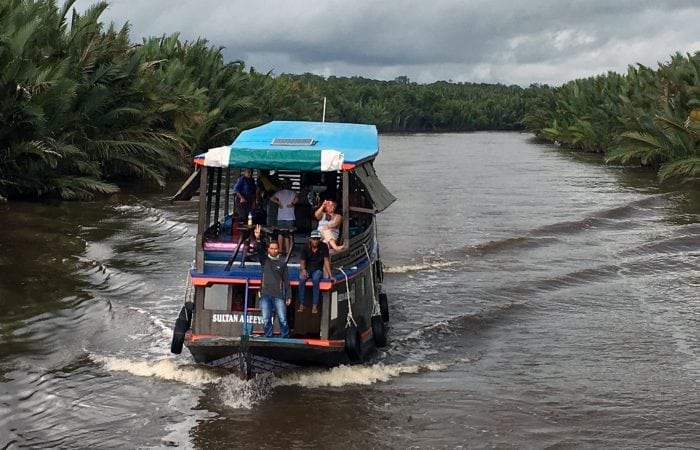 Orangutan Tours with Klotok