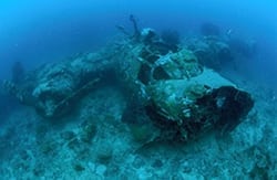 Trans Sulawesi Tour visiting Togian Wreck Dive