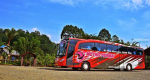 Bus Makassar to Rantepao