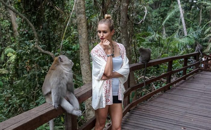Bali Tour Monkey Forest