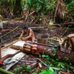 Mentawai Tour visiting the local tribe