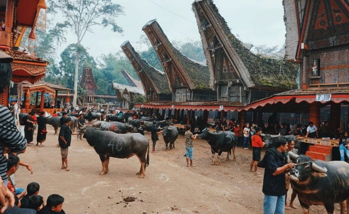 Toraja Funeral