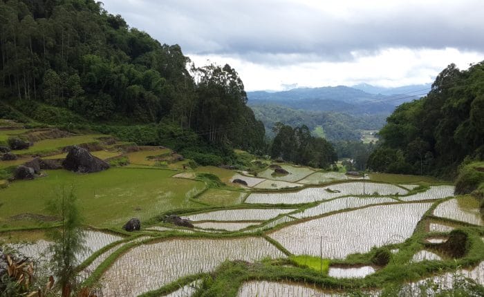 Toraja Trekking to Batutumonga